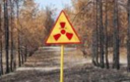 Чорнобиль - кровоточива рана землі